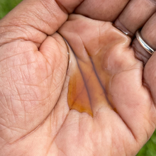 Load image into Gallery viewer, BLACK JAMAICAN CASTOR OIL 4 OZ